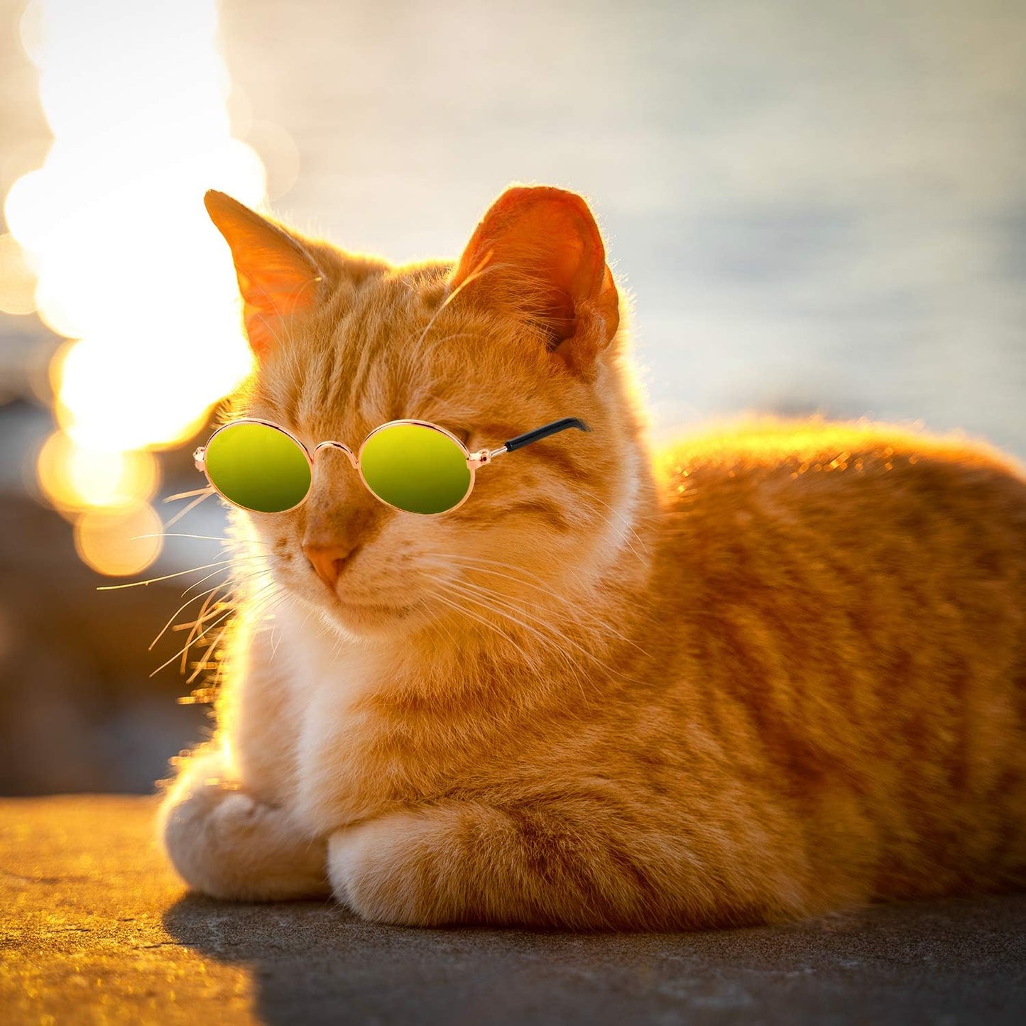 10-Piece Set of Round Metal Sunglasses for Cats and Dogs - Classic Retro Pet Glasses for Cosplay, Parties, and Photo Props (Mixed Colors)