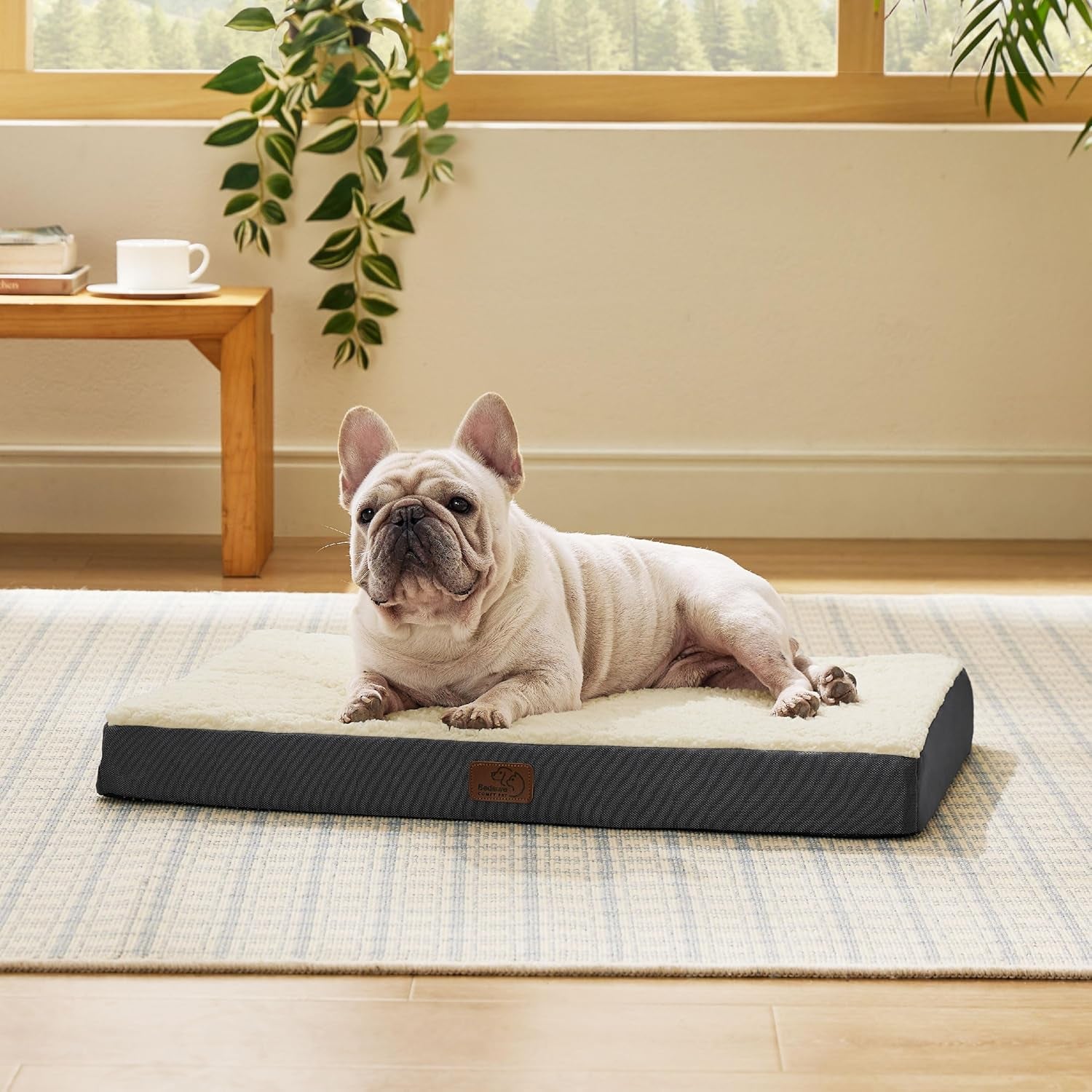 Bedsure Medium Dog Bed - Comfortable Flat Puppy Bed with Removable Washable Cover, Orthopedic Egg Crate Foam Mat for Pets up to 30 lbs