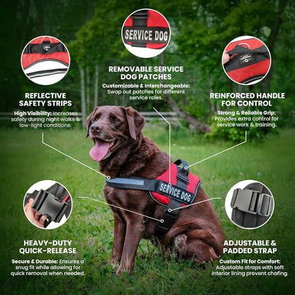 Service Dog Vest with Hook and Loop Straps & Matching Leash Set - Harnesses from XXS to XXL - Service Dog Harness Features Reflective Patch and Comfortable Mesh Design (Pink, XXS)