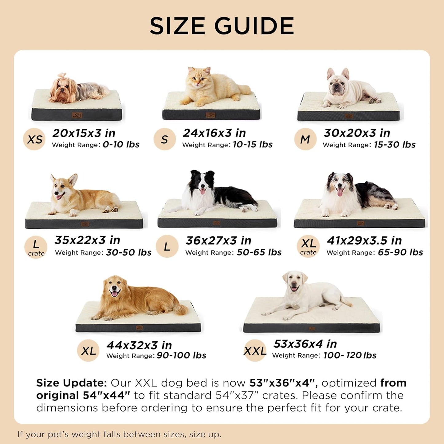 Bedsure Medium Dog Bed - Comfortable Flat Puppy Bed with Removable Washable Cover, Orthopedic Egg Crate Foam Mat for Pets up to 30 lbs