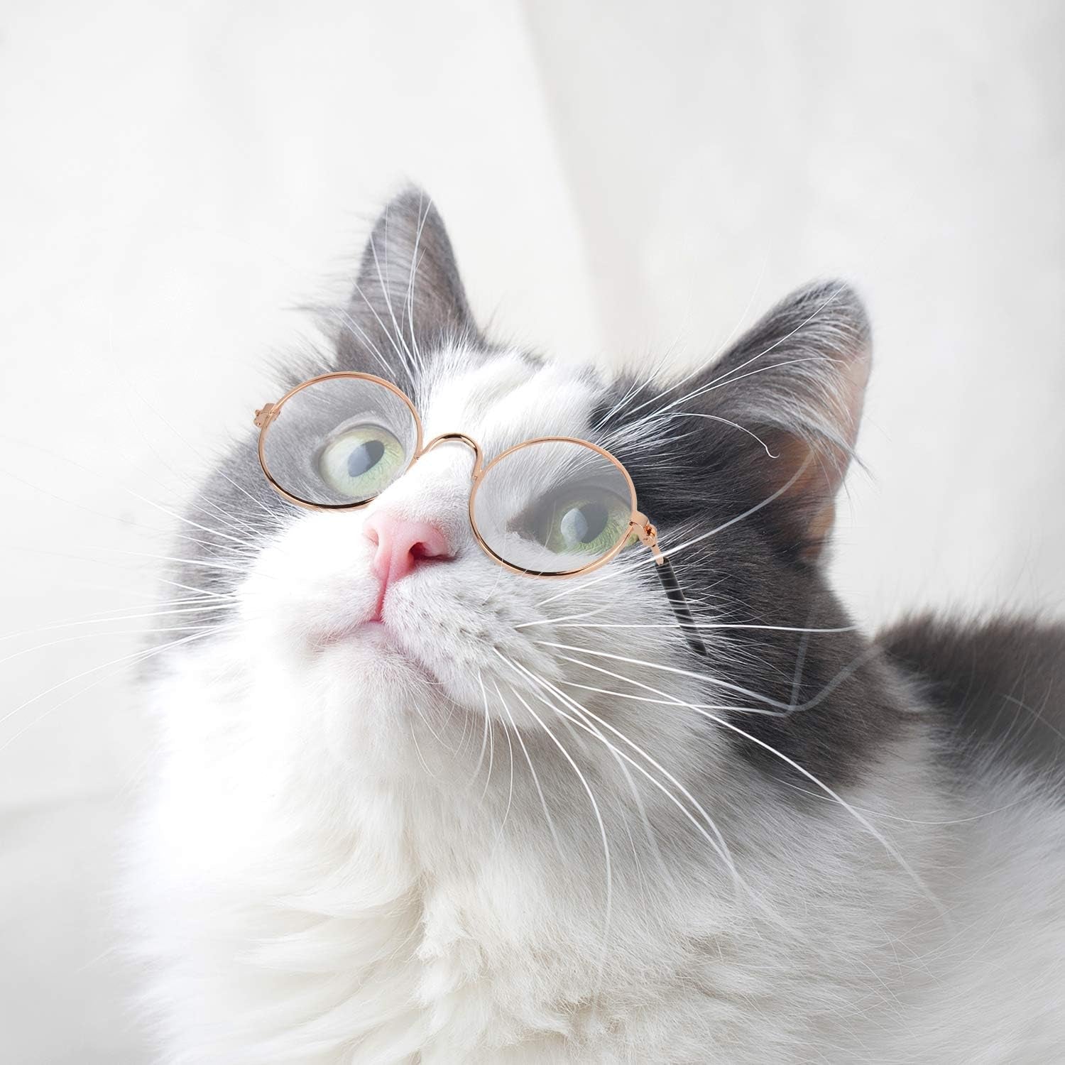 10-Piece Set of Round Metal Sunglasses for Cats and Dogs - Classic Retro Pet Glasses for Cosplay, Parties, and Photo Props (Mixed Colors)