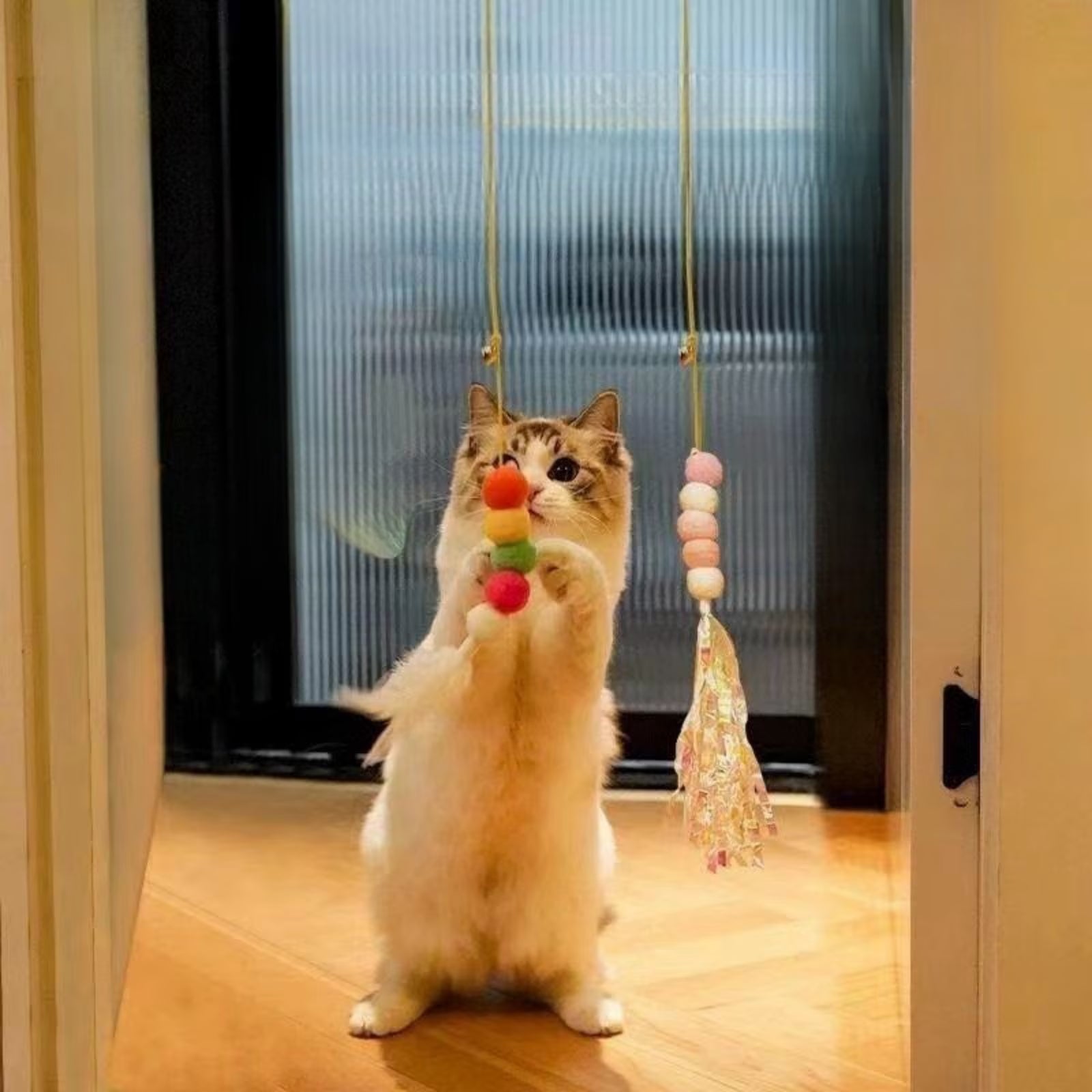 Indoor Cat Toys Set: Rainbow Feather Wand Teasers for Interactive Play and Exercise - 4 Pack