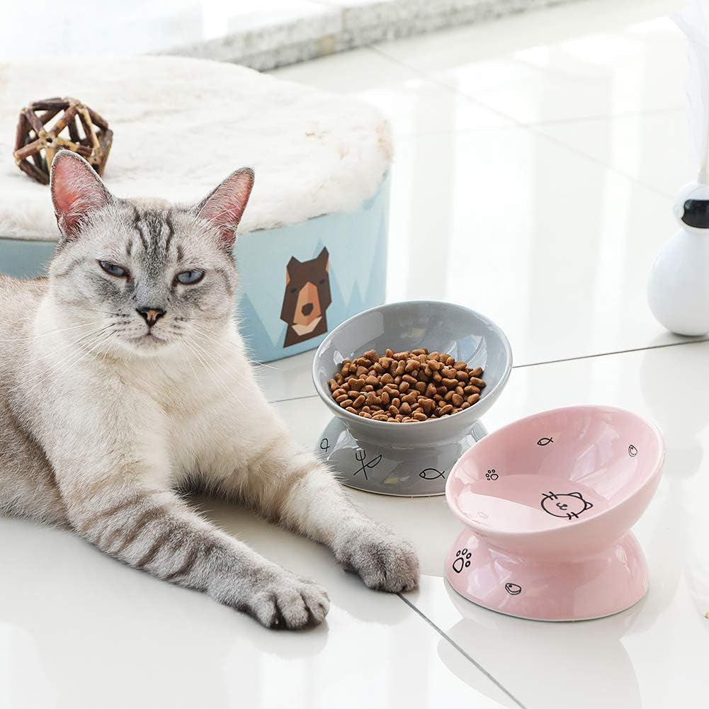 Sweejar Elevated Ceramic Cat Bowls for Food and Water, Slanted Design for Spine Protection and Stress-Free Feeding, Backflow Prevention, Gray