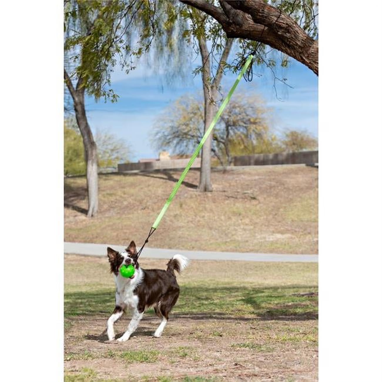 JP071 Large Green Tree Tugger Bungee