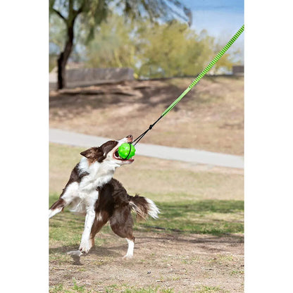 JP071 Large Green Tree Tugger Bungee